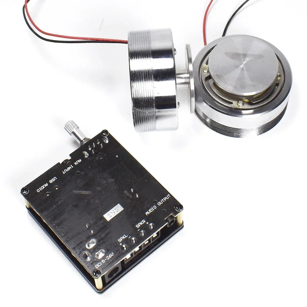 2*25W Tragbare Stereo Vibratio – Home Cinema Ampli Bewertung und Preis
